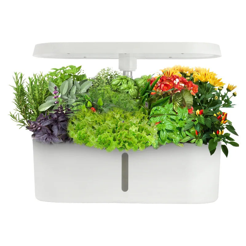 Sistema Idroponico Smart per Verdure e Fiori – Coltivazione Automatica Senza Terra