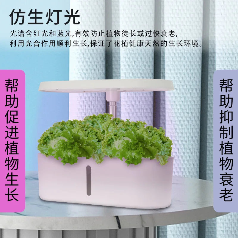 Intelligentes Hydroponik-System für Gemüse und Blumen – Automatische erdlose Kultivierung